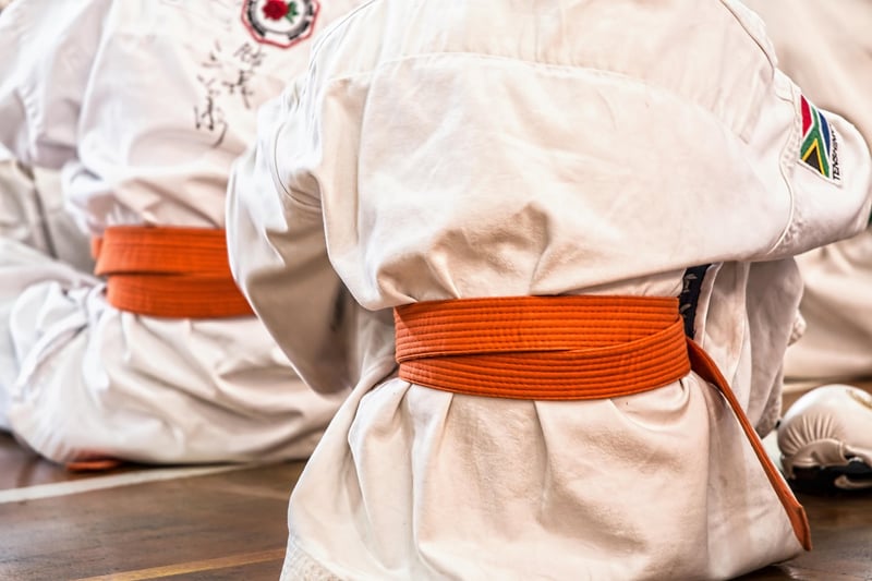 Judo Image