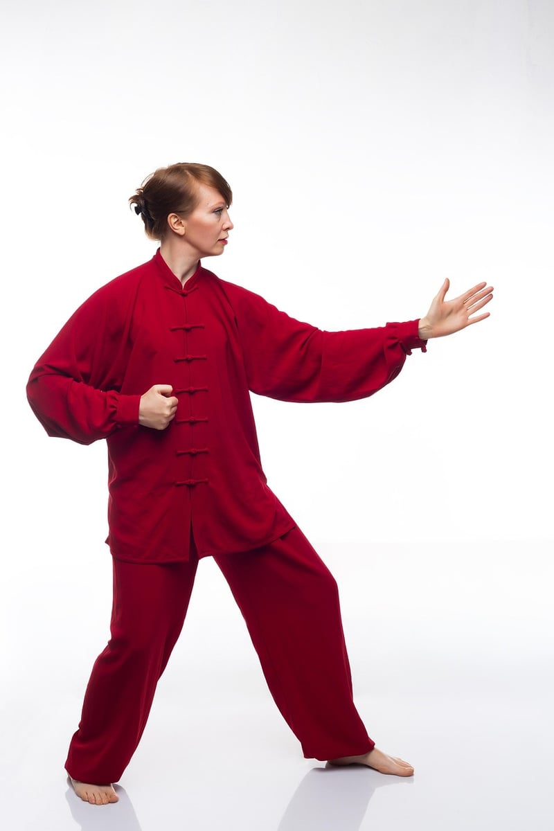 Chen Style Tai Chi
